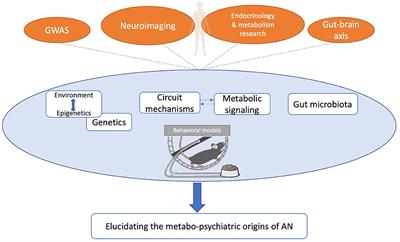 The Utility of Animal Models for Studying the Metabo-Psychiatric Origins of Anorexia Nervosa